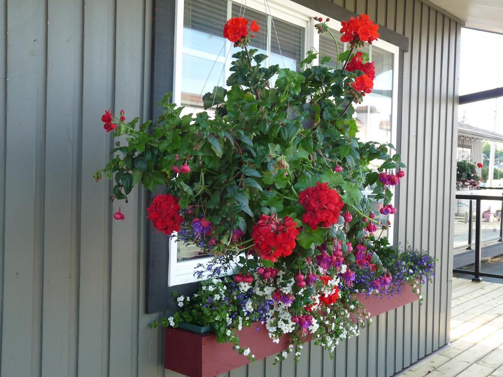 Driftwood By The Sea Inn Campbell River Exterior foto