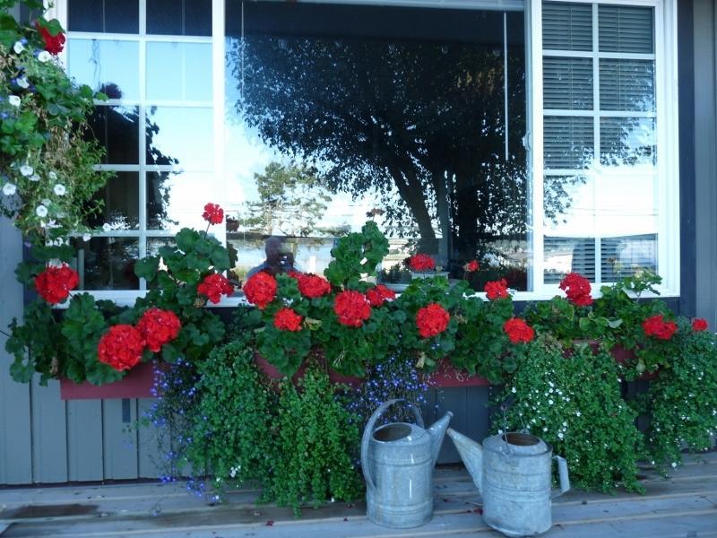 Driftwood By The Sea Inn Campbell River Exterior foto