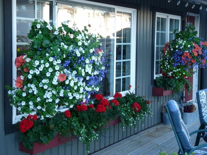 Driftwood By The Sea Inn Campbell River Exterior foto