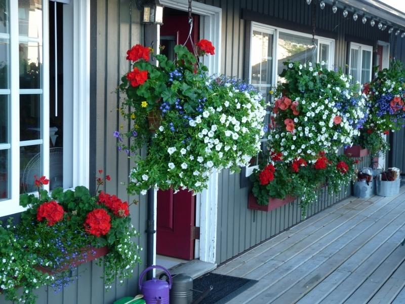 Driftwood By The Sea Inn Campbell River Exterior foto